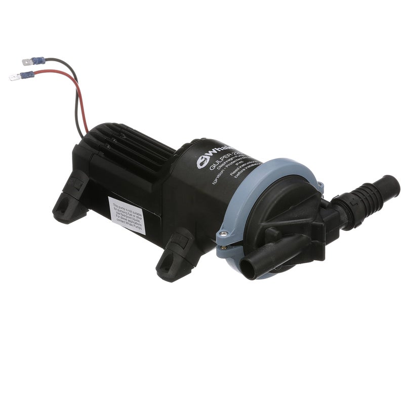 Whale BP1552 Gulper 220 Pump, Manages Gray Waste, 3.5 GPM Flow Rate, 12V DC, Â¾-Inch Hose Connections, Black - Image 2